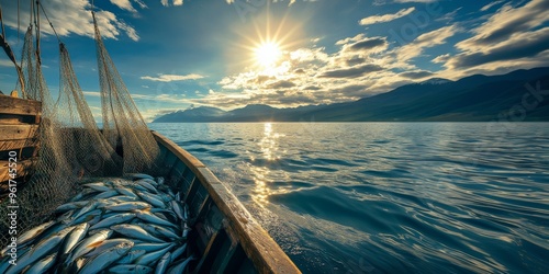 fishing boat in net fish catch photo