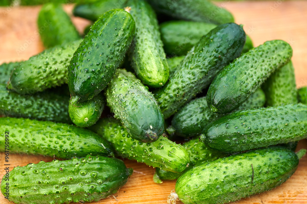 Freshly picked green cucumbers on the board background Freshly picked green cucumbers on the board background