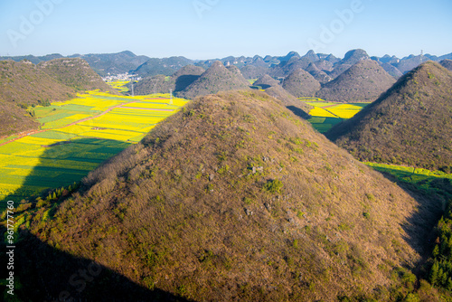 Rapeseed flowers in Luoping County and tall limestone rocks during the sunset, Yunnan Province, China, Blue sky with copy space for text photo