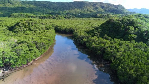 マングローブ林を流れる川をドローン空撮（前進2）