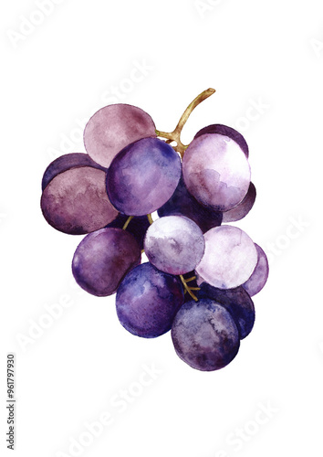 GRAPE FRUIT