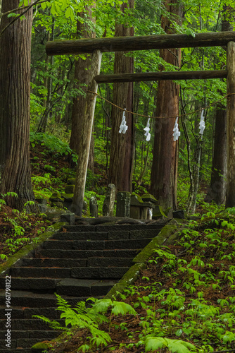 日本　長野県長野市にある戸隠神社の宝光社の三祠の鳥居 photo