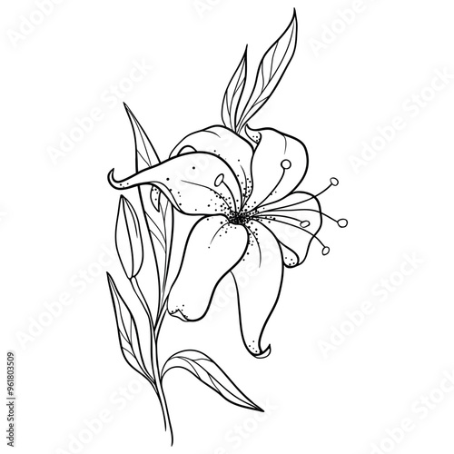 Simple Line Drawing Of A Lily Flower On A Branch With Leaves