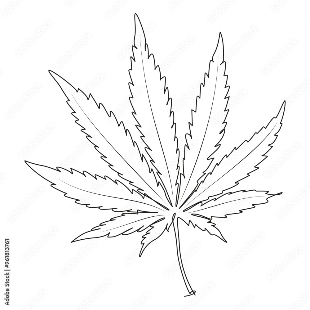 Cannabis marijuana or hemp Leaf one line art. Hand minimalist outline drawing on a white background. Botanical herb print. Cannabis marijuana or hemp Leaf one line art. Hand minimalist outline drawing on a white background. Botanical herb print.