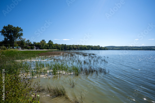 Lake Carmi shoreline in northern Vermont.