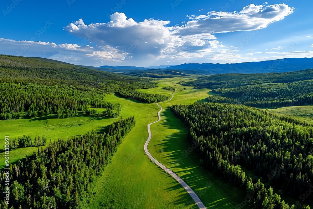 Fototapeta premium Aerial view, evening light, long shadows in the forest create a dramatic effect across the landscape