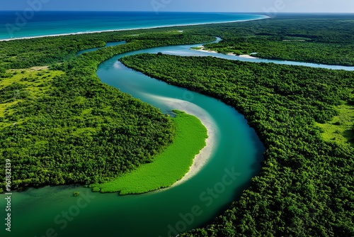 Aerial view, river delta, merging with the forest where water and land meet in a complex, interwoven landscape