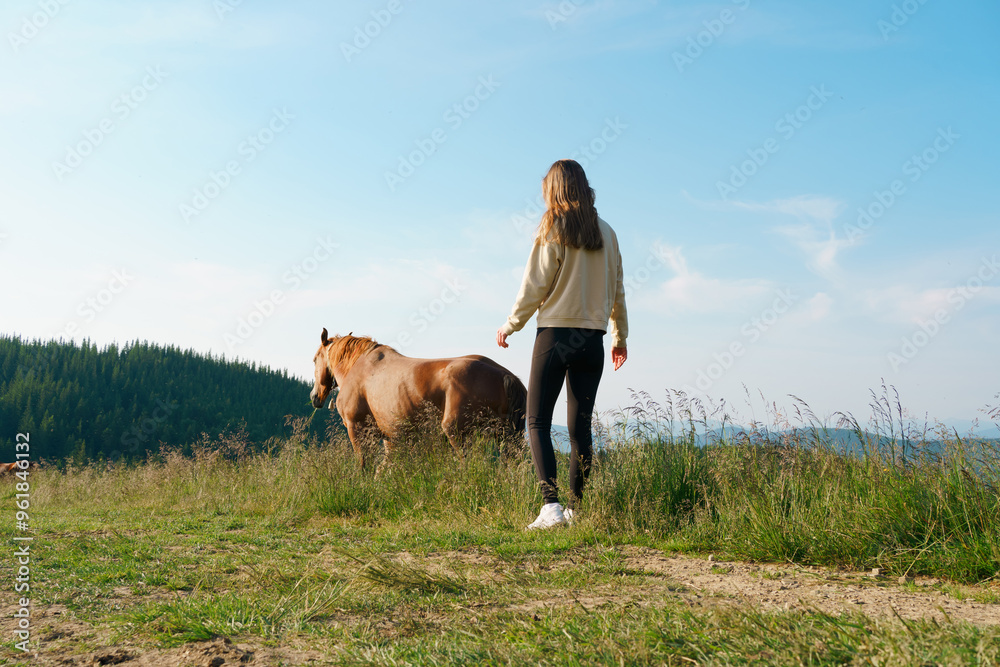 A young woman with loose hair walks across the field to brown chestnut horse grazing against the sky. The concept of Animal farm, Red thoroughbred horse, breed horses, tourism and hiking in mountains A young woman with loose hair walks across the field to brown chestnut horse grazing against the sky. The concept of Animal farm, Red thoroughbred horse, breed horses, tourism and hiking in mountains