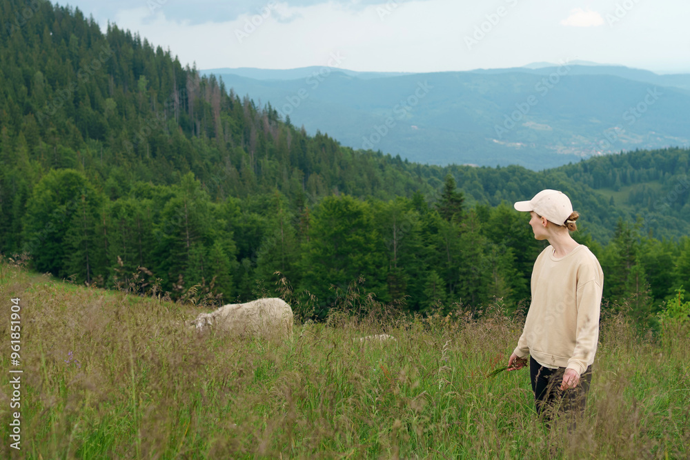 A young woman sheepherd farmer grazes dike sheep high in the mountains on a meadow in the middle of the forest. The concept of free-range animals, tourism, breeding agriculture and farm animals. A young woman sheepherd farmer grazes dike sheep high in the mountains on a meadow in the middle of the forest. The concept of free-range animals, tourism, breeding agriculture and farm animals.