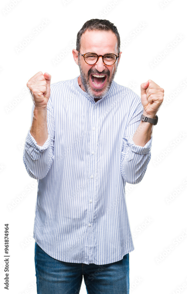 Naklejka premium Middle age hoary senior man wearing glasses over isolated background celebrating surprised and amazed for success with arms raised and open eyes. Winner concept.