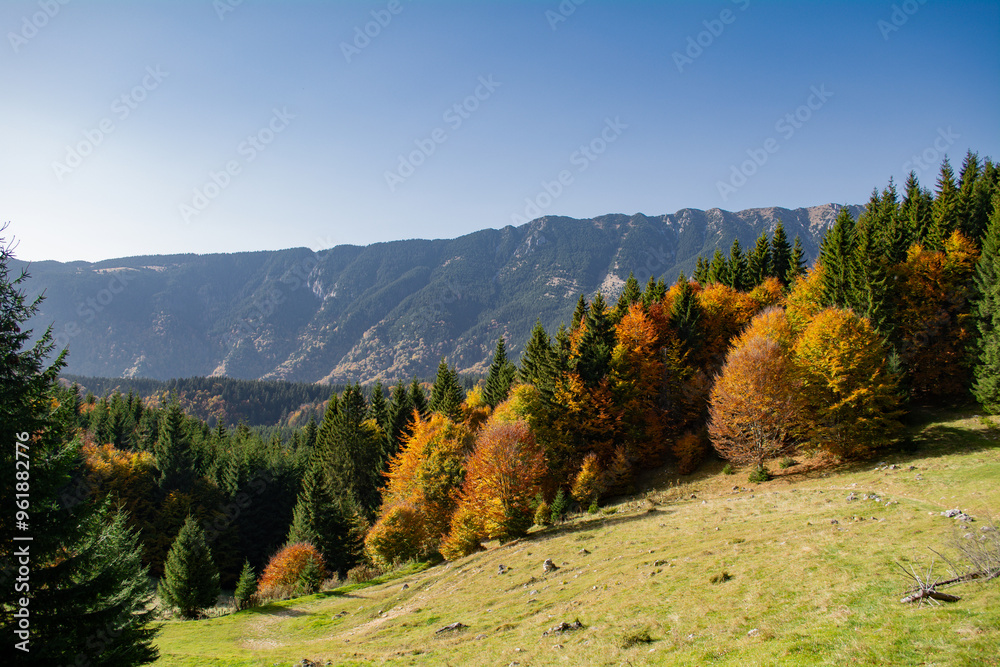 autumn in the mountains autumn in the mountains
