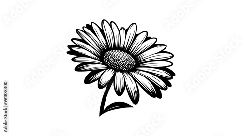 Daisy flower silhouette vector illustration.