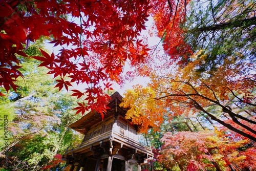 Tableau sur toile 秋の寺院