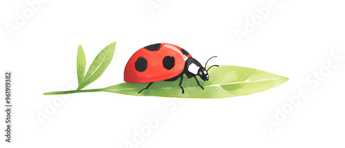 Watercolor Ladybug on a Green Leaf