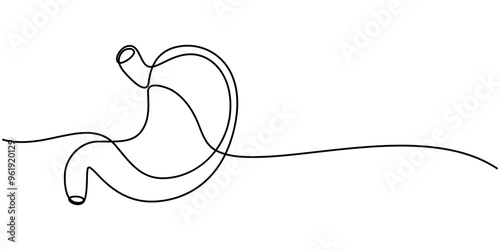 Continuous Line Drawing of Stomach Icon. Hand Drawn Symbol Vector Illustration, Stomach Black Stroke Linear Icon, Stomach. Human Organs Anatomy - Line Icon. Vector Stock Illustration