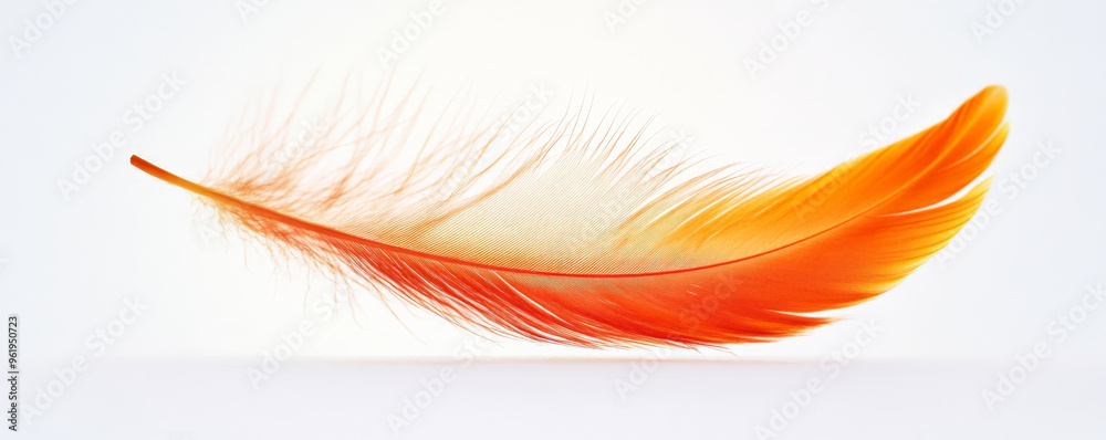 A bright orange feather with fine details and subtle textures, floating softly against a white background. A bright orange feather with fine details and subtle textures, floating softly against a white background.