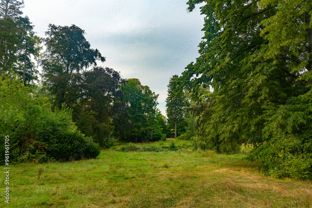 large open field with trees in the background large open field with trees in the background