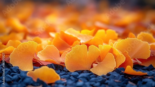 ginkgo leaves scattered on earthy ground rich autumn colors macro detail of veins and textures dappled sunlight through trees photo