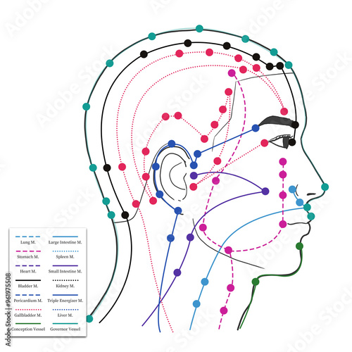 머리와 얼굴 경혈 혈자리 설명 일러스트