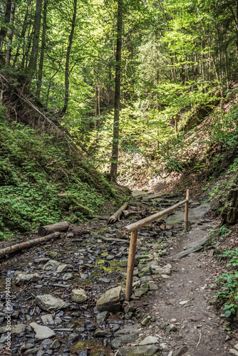 Cascada Bursuc, Putna 727455 - Europe, Romania, Suchav region 