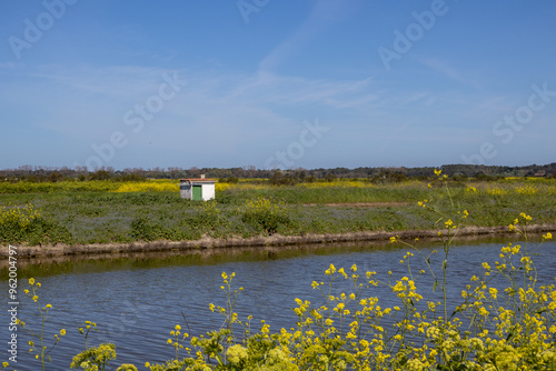 landscape with a river in the country photo