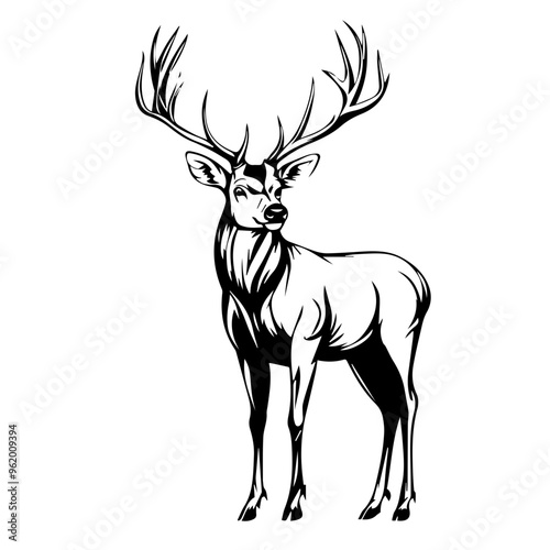 Deer Vector