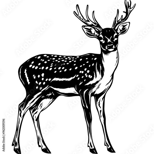 Deer Vector