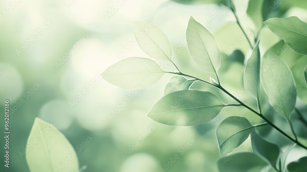 A light sage green color makes you feel calm and peaceful, like being surrounded by nature. It's soft and gentle, like the green of new leaves in the morning. A light sage green color makes you feel calm and peaceful, like being surrounded by nature. It's soft and gentle, like the green of new leaves in the morning.