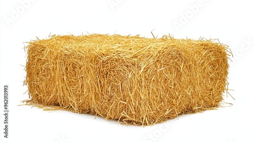 Golden yellow haystack isolated on a white background hay is a tightly joined bale of straw