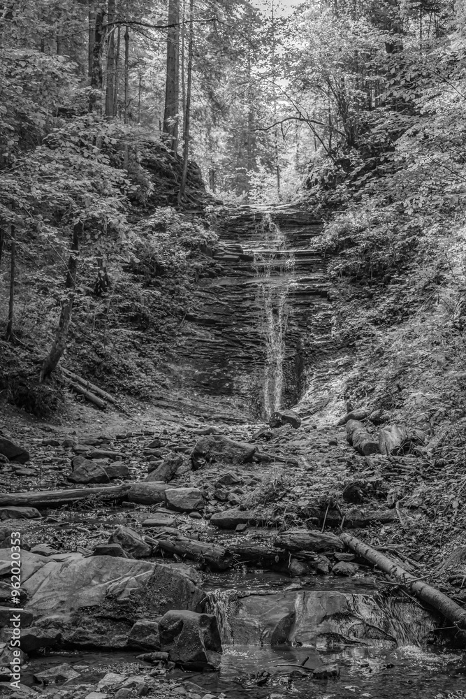 Fototapeta premium Cascada Bursuc, Putna 727455 - Europe, Romania, Suchav region