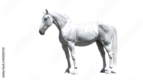 Majestic Grey Horse Collection - A Stunning Portrait Bundle of Elegant Standing Animals