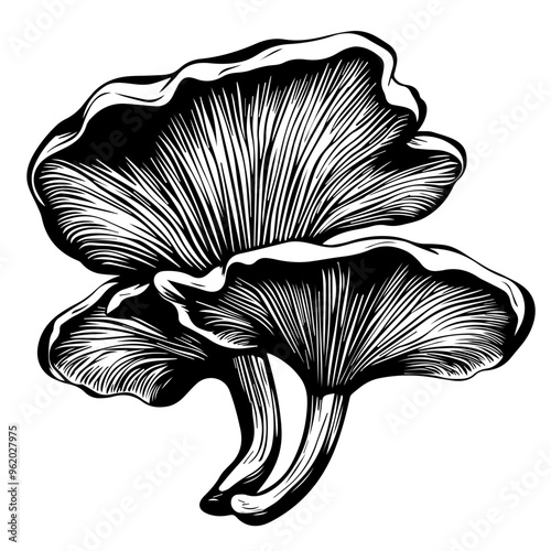 Mushroom Vector