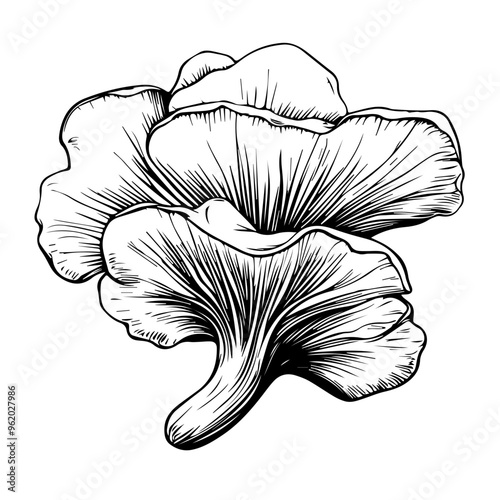 Mushroom Vector