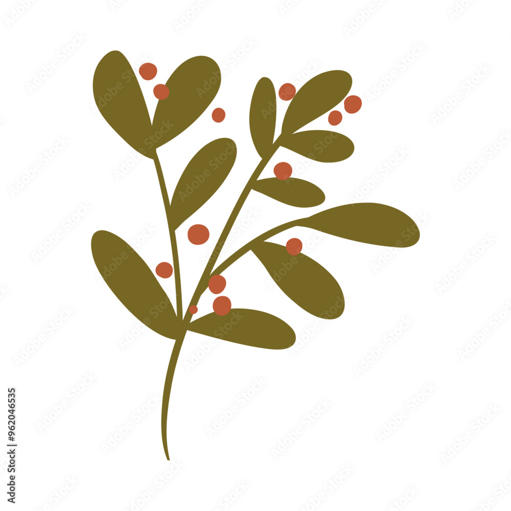 Hand drawn green plant with red berries, cartoon flat vector illustration isolated on white background. Stem with leaves. Nature element. Autumn botany. Hand drawn green plant with red berries, cartoon flat vector illustration isolated on white background. Stem with leaves. Nature element. Autumn botany.