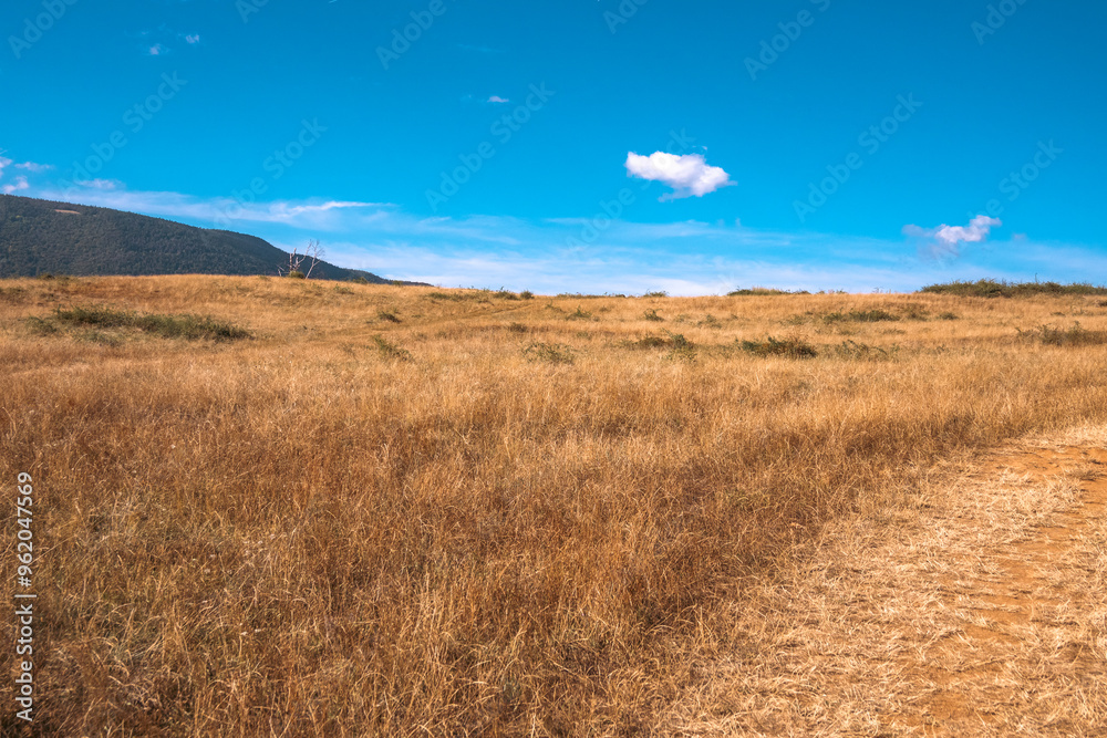 chemin de campagne dans la prairie sèche chemin de campagne dans la prairie sèche