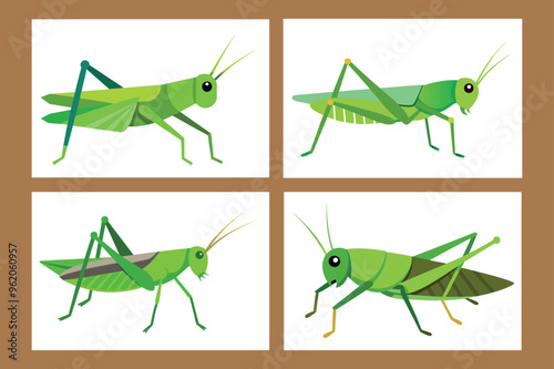A set of grasshopper