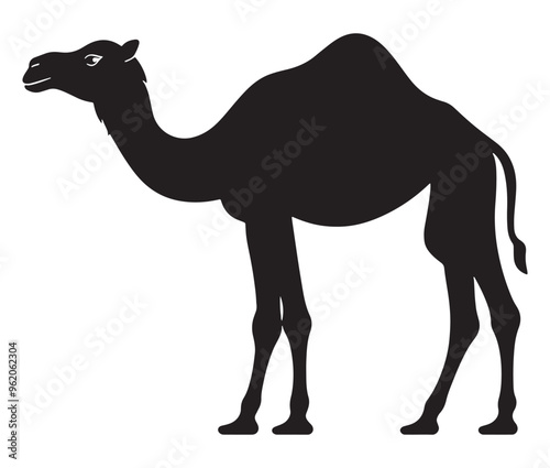 Camel in desert silhouette vector 