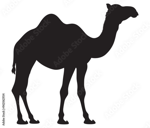 Camel in desert silhouette vector 