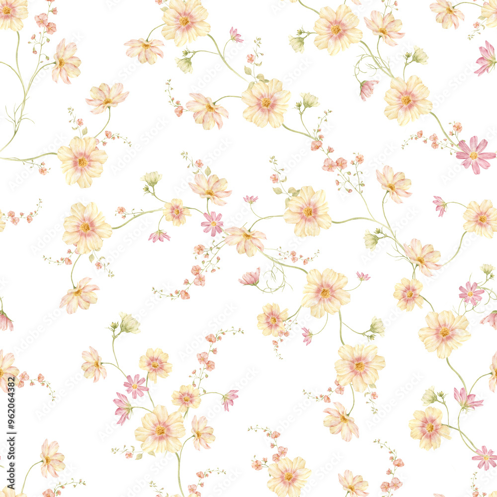 Seamless pattern with watercolor cosmos flowers on white background