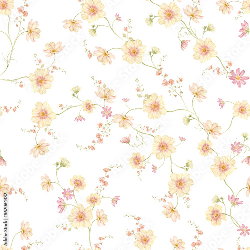 Seamless pattern with watercolor cosmos flowers on white background