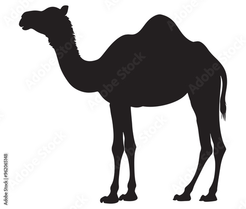 Camel in desert silhouette vector 