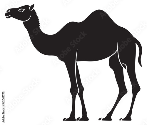 Camel in desert silhouette vector 