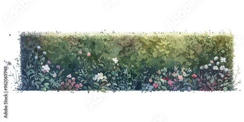 Trimmed Hedge line, shrub screen, vector