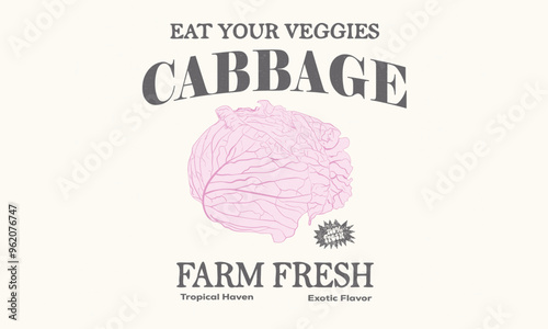 Fresh cabbage artwork. Red cabbage vintage t-shirt design. Organic vegetable farm. Organic vegetable artwork for t shirt print, poster, sticker and other uses.
