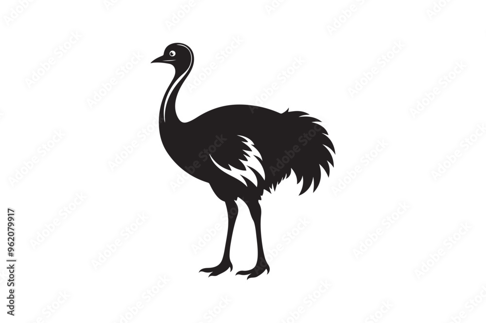 Ostrich silhouette vector illustration, Ostrich silhouette vector