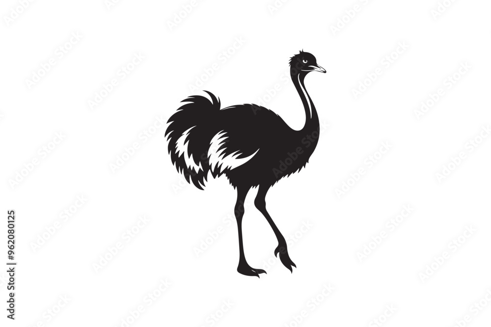 Ostrich silhouette vector illustration, Ostrich silhouette vector Ostrich silhouette vector illustration, Ostrich silhouette vector
