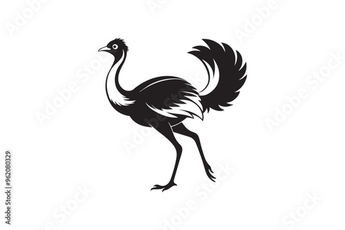 Ostrich silhouette vector illustration, Ostrich silhouette vector