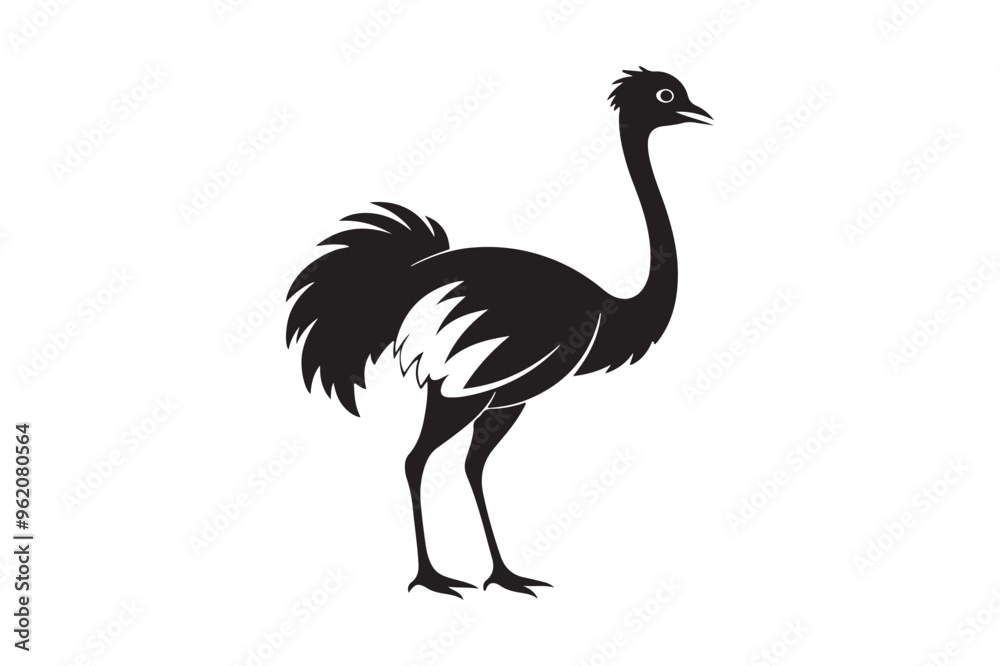 Ostrich silhouette vector illustration, Ostrich silhouette vector Ostrich silhouette vector illustration, Ostrich silhouette vector