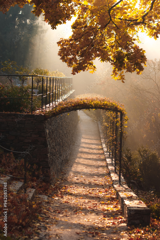 Fototapeta premium Sun shining through the trees on a path in a park in autumn in Pruhonice park