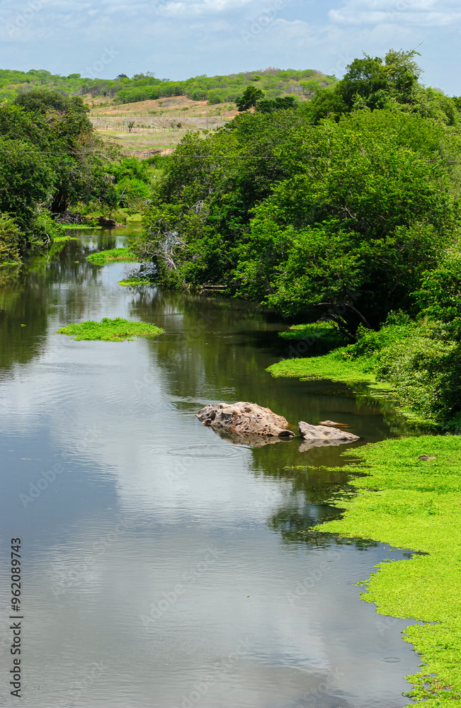 Fototapeta premium River in the interior of northeastern Brazil with plenty of water, during the rainy season. Piranhas River, Pombal, Paraíba, Brazil.